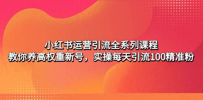 小红书运营引流全系列课程：教你养高权重新号_金轩项目库