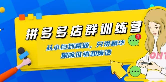 拼多多店群训练营：从小白到精通，只讲精华，剔除推销和废话_金轩项目库