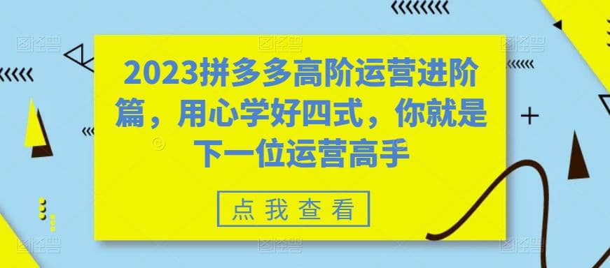 2023拼多多高阶运营进阶篇，用心学好四式，你就是下一位运营高手_金轩项目库