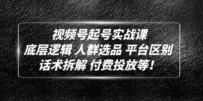 视频号起号实战课：底层逻辑 人群选品 平台区别 话术拆解 付费投放等_金轩项目库