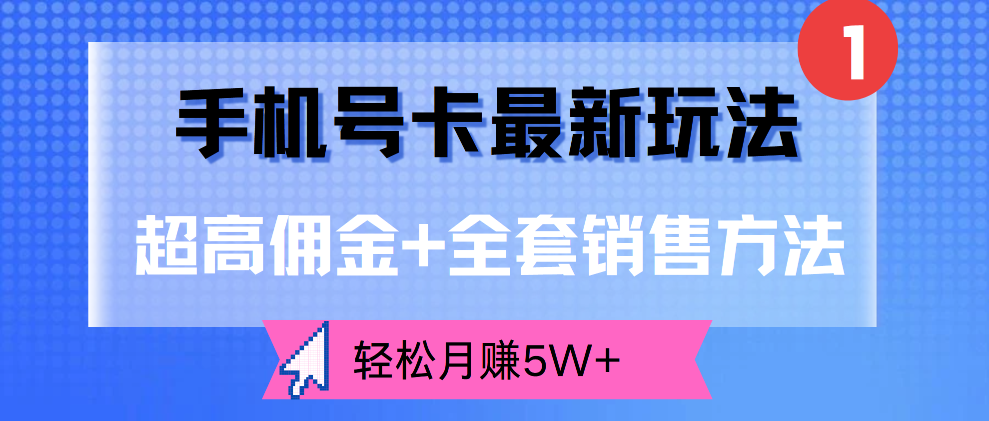 超高佣金+全套销售方法，手机号卡最新玩法，轻松月赚5W+_金轩项目库