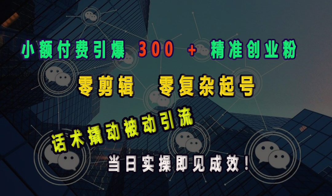 小额付费引爆 300 + 精准创业粉，零剪辑、零复杂起号，话术撬动被动引流，当日实操即见成效！_金轩项目库