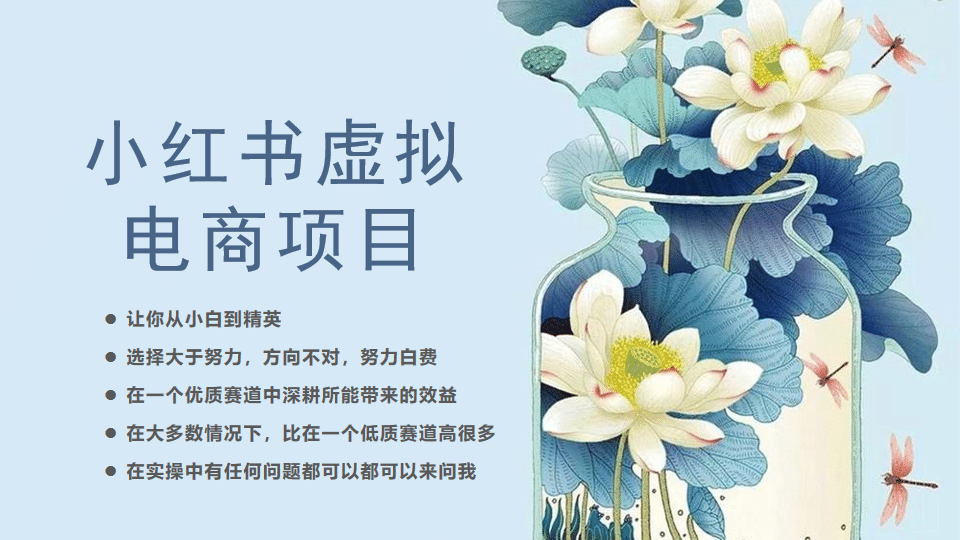 小红书虚拟电商从0到1，让你从小白到精英（20节实操课程）_金轩项目库