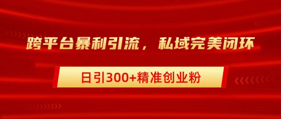 跨平台暴力引流，私域完美闭环，日引300+精准创业粉_金轩项目库