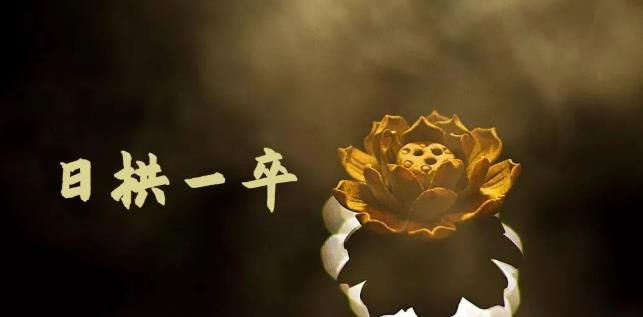 无脑搬砖，普通人可以复制的副业赚钱项目(附软件)_金轩项目库