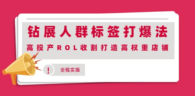 钻展人群标签打爆法，高投产ROL收割打造高权重店铺(全程实操)_金轩项目库
