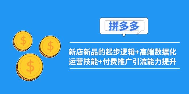2022拼多多：新店新品的起步逻辑+高端数据化运营技能+付费推广引流能力提升_金轩项目库