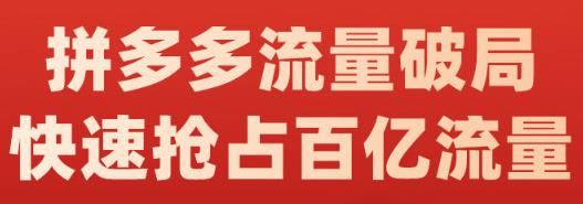 阿杰·拼多多流量破局:如何打黑标，爆款的思路，拼多多流量框架，快速抢占百亿流量_金轩项目库