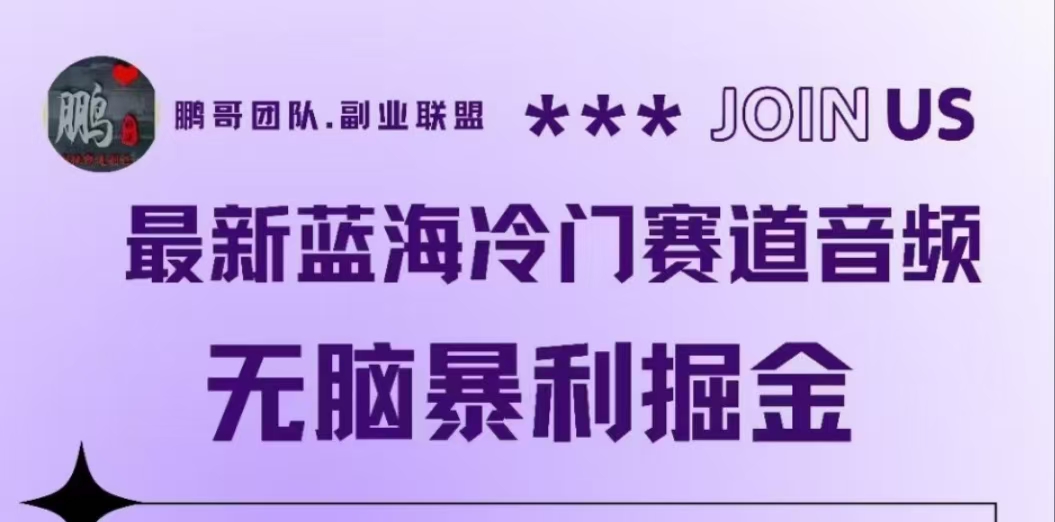 最新蓝海冷门赛道音频，无脑暴利掘金_金轩项目库