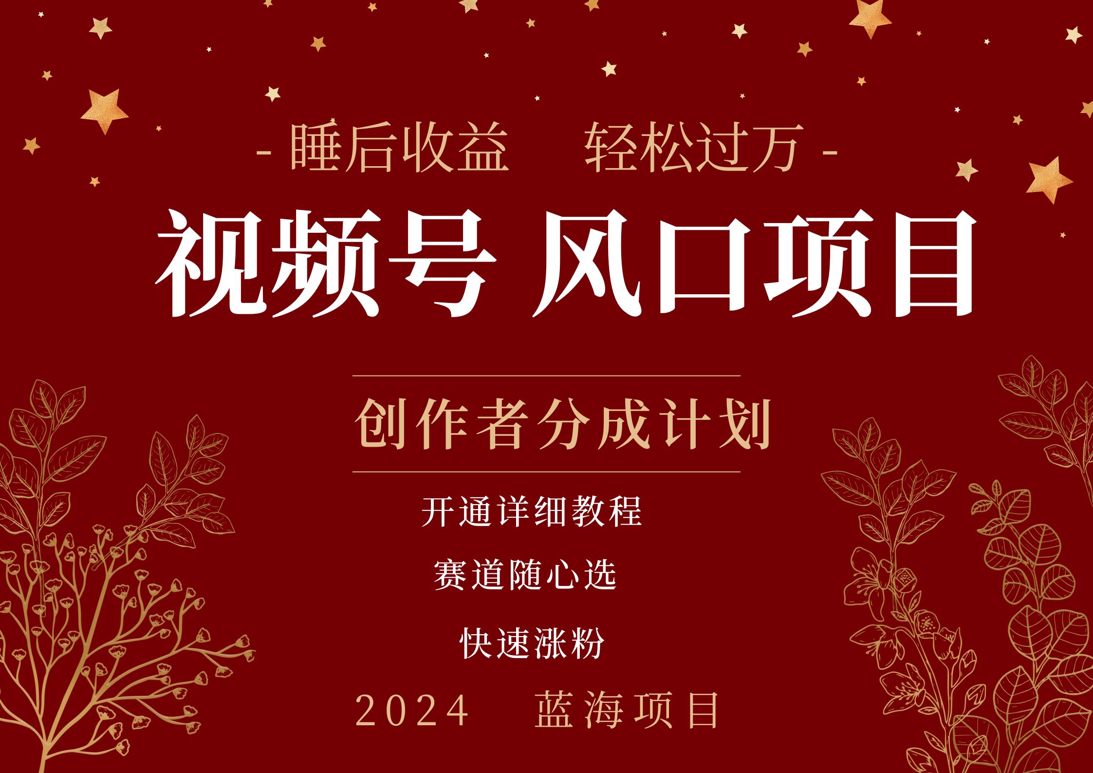 拥有睡眠收益的微信视频号大风口项目，轻松月入过万+，多赛道选择，可矩阵，玩法简单轻松上手_金轩项目库