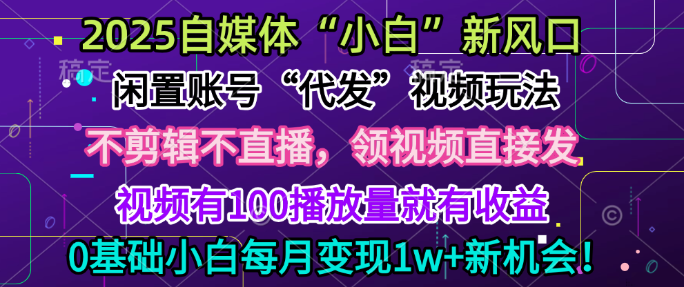 2025每月躺赚5w+新机会，闲置视频账号一键代发玩法，0粉不实名不剪辑，领了视频直接发，0基础小白也能日入300+_金轩项目库