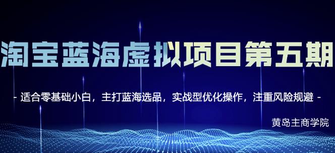 淘宝虚拟无货源3.0+4.0+5.0，适合零基础小白，主打蓝海选品，实战型优化操作_金轩项目库