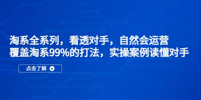 淘系全系列，看透对手，自然会运营，覆盖淘系99%·打法，实操案例读懂对手_金轩项目库