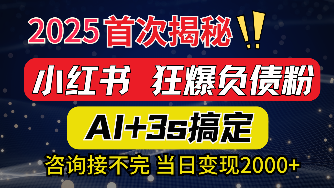 2025引流天花板：最新小红书狂暴负债粉思路，咨询接不断，当日入2000+_金轩项目库