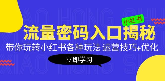 小红书流量密码入口揭秘：带你玩转小红书各种玩法 运营技巧+优化_金轩项目库