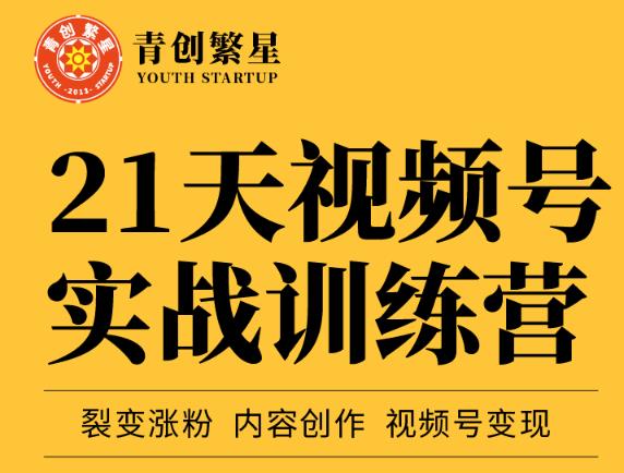 张萌21天视频号实战训练营，裂变涨粉、内容创作、视频号变现 价值298元_金轩项目库