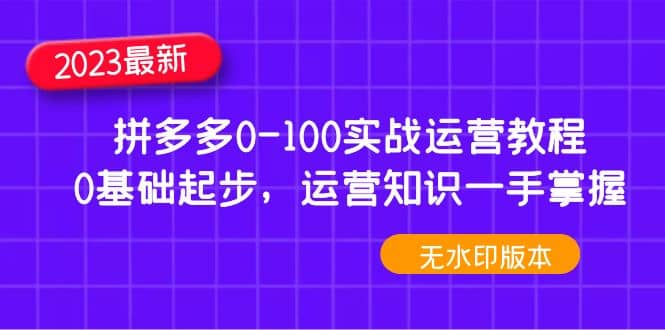 2023拼多多0-100实战运营教程，0基础起步，运营知识一手掌握（无水印）_金轩项目库
