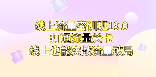 线上流量密训班19.0，打通流量关卡，线上也能实战流量破局_金轩项目库