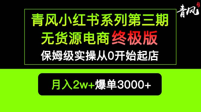 小红书无货源电商爆单终极版【视频教程+实战手册】保姆级实操从0起店爆单_金轩项目库
