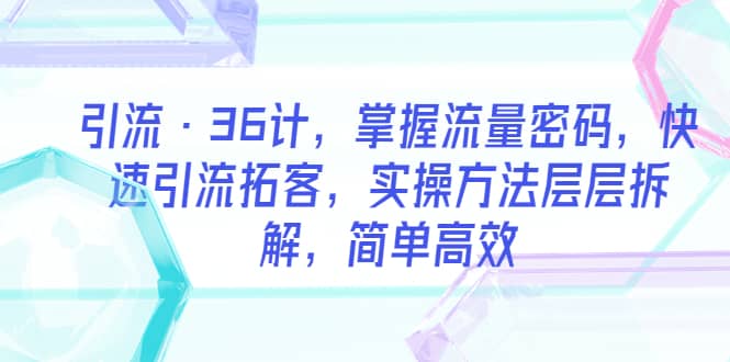 引流·36计，掌握流量密码，快速引流拓客，实操方法层层拆解，简单高效_金轩项目库