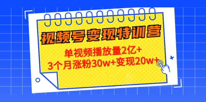 20天视频号变现特训营：单视频播放量2亿+_金轩项目库