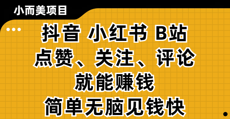 小而美的项目，抖音、小红书、B站视频点赞、关注、评论就能赚钱，简单无脑立见收益！妥妥的零撸项目_金轩项目库