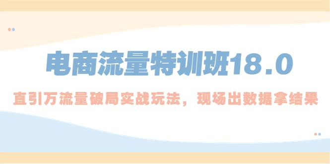 电商流量特训班18.0，直引万流量破局实操玩法，现场出数据拿结果_金轩项目库