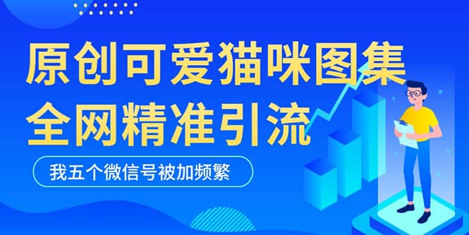 黑科技纯原创可爱猫咪图片，全网精准引流，实操5个VX号被加频繁_金轩项目库