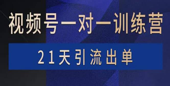 视频号训练营：带货，涨粉，直播，游戏，四大变现新方向，21天引流出单_金轩项目库