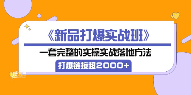 《新品打爆实战班》一套完整的实操实战落地方法，打爆链接超2000+（38节课)_金轩项目库