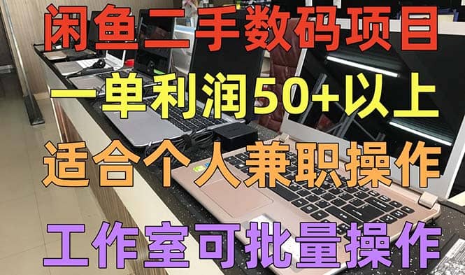 闲鱼二手数码项目，个人副业低保收入，工作室批量放大操作_金轩项目库
