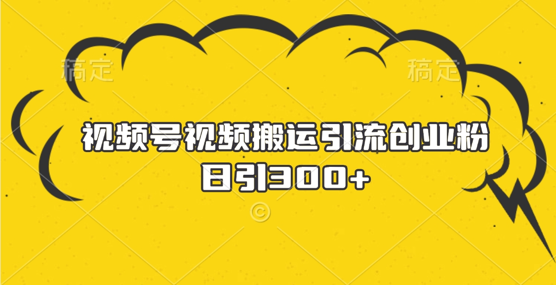 视频号视频搬运引流创业粉，日引300+_金轩项目库