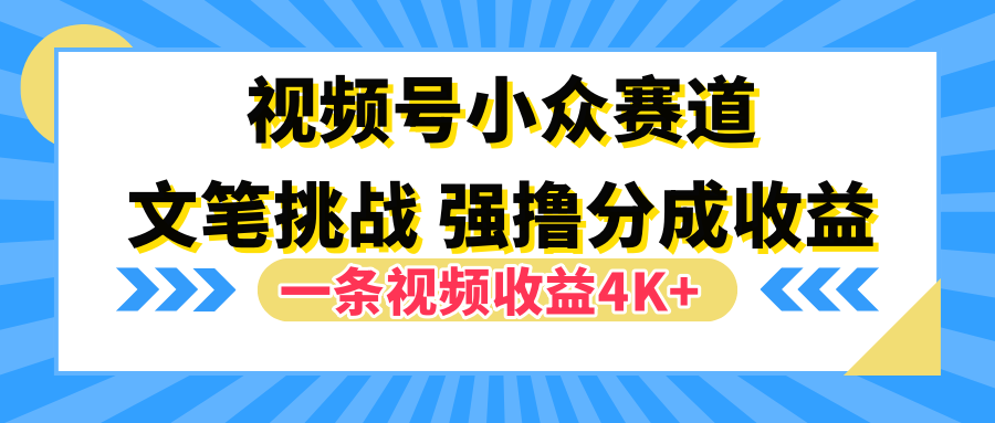 视频号小众赛道，文笔挑战，一条视频收益4K+_金轩项目库