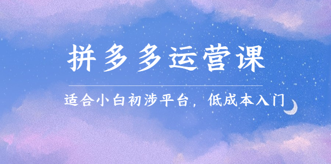 拼多多运营课，适合小白初涉平台，低成本入门_金轩项目库