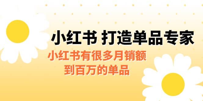 某公众号付费文章《小红书 打造单品专家》小红书有很多月销额到百万的单品_金轩项目库