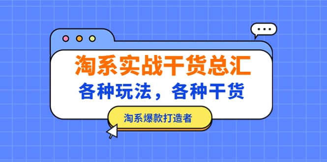 淘系实战干货总汇：各种玩法，各种干货，淘系爆款打造者_金轩项目库