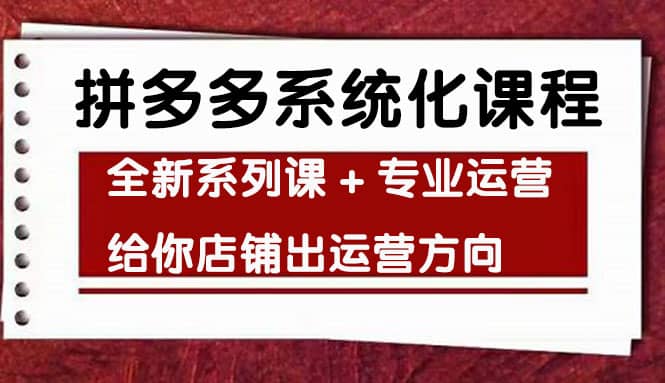 车神陪跑，拼多多系统化课程，全新系列课+专业运营给你店铺出运营方向_金轩项目库