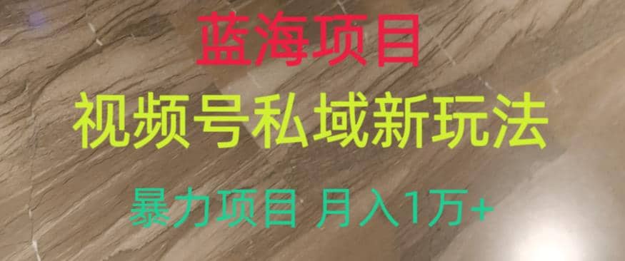 蓝海项目，视频号私域新玩法，暴力项目月入1万+【揭秘】_金轩项目库