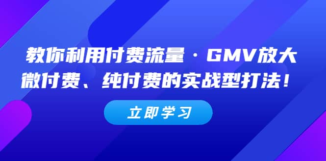 教你利用付费流量·GMV放大，微付费、纯付费的实战型打法_金轩项目库
