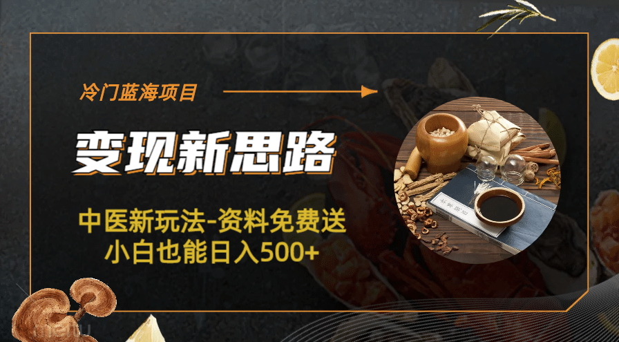 冷门蓝海项目-中医新玩法-冷门蓝海项目-中医新玩法-资料免费送小白也能日入500+500+_金轩项目库