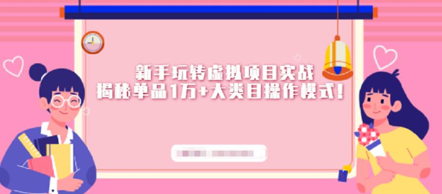新手玩转虚拟项目实战，揭秘单品1万+大类目操作模式【视频课程】_金轩项目库