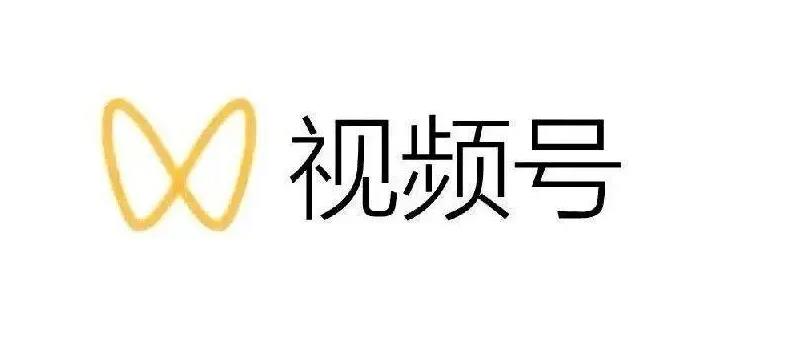 最新视频号解读，视频号真相+变现玩法【视频课程】_金轩项目库