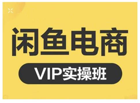 闲鱼电商零基础入门到进阶VIP实战课程，帮助你掌握闲鱼电商所需的各项技能_金轩项目库