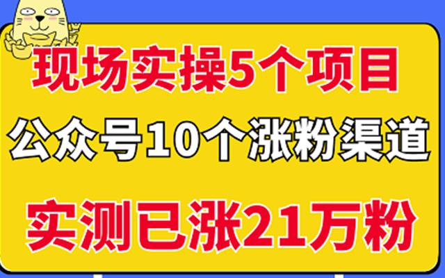 现场实操5个公众号项目，10个涨粉渠道，实测已涨21万粉！_金轩项目库