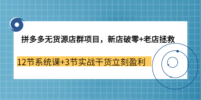 拼多多无货源店群项目，新店破零+老店拯救 12节系统课+3节实战干货立刻盈利_金轩项目库