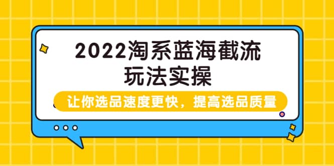 2022淘系蓝海截流玩法实操：让你选品速度更快，提高选品质量（价值599）_金轩项目库