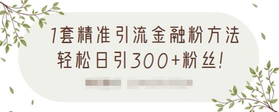 1套精准引流金融粉方法，轻松日引300+粉丝【视频课程】_金轩项目库