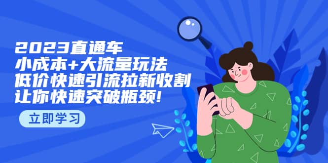 2023直通小成本+大流量玩法，低价快速引流拉新收割，让你快速突破瓶颈_金轩项目库