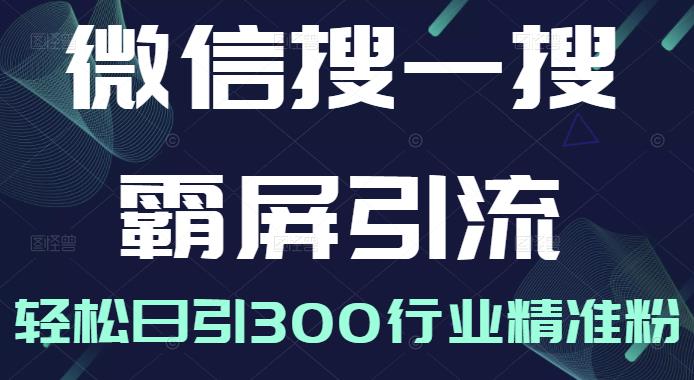 微信搜一搜霸屏引流课，打造被动精准引流系统，轻松日引300行业精准粉【无水印】_金轩项目库