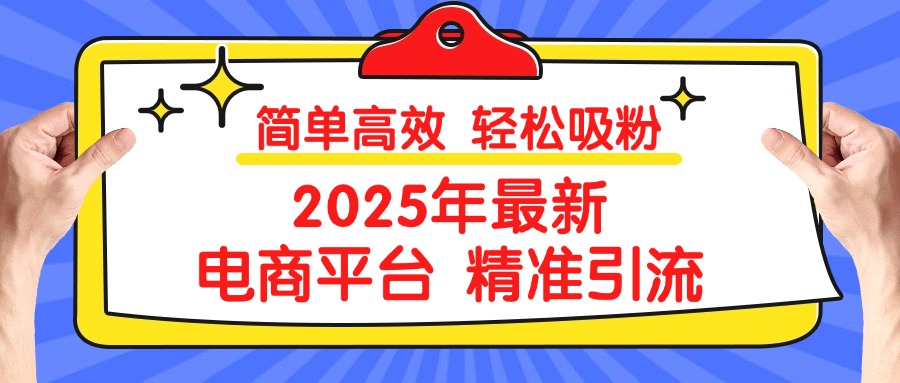 2025年最新电商平台精准引流 简单高效 轻松吸粉_金轩项目库